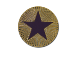 Enamelled Plain Star Round Badge 19
