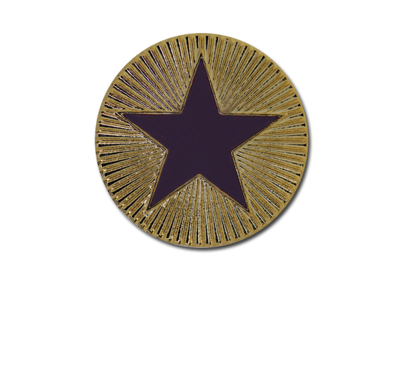 Enamelled Plain Star Round Badge 5