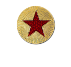 Enamelled Plain Star Round Badge