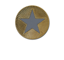 Enamelled Plain Star Round Badge 26