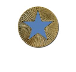 Enamelled Plain Star Round Badge 23