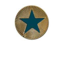 Enamelled Plain Star Round Badge 28