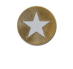 Enamelled Plain Star Round Badge 20