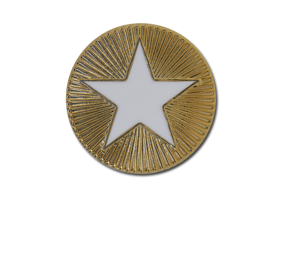 Enamelled Plain Star Round Badge 6