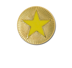 Enamelled Plain Star Round Badge 16