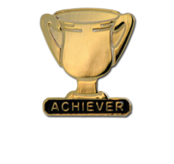 Achiever Trophies - Gold Trophy Badge 24