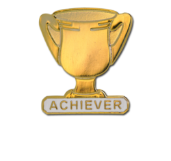 Achiever Trophies - Gold Trophy Badge 20
