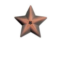 3D Star Star Badge 6