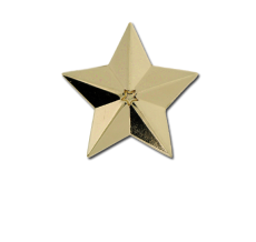 3D Star Star Badge