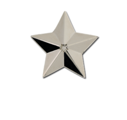 3D Star Star Badge 5