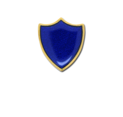 Small Enamelled Shield Badge 17