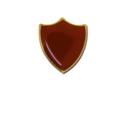 Small Enamelled Shield Badge 27