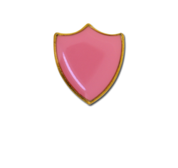 Small Enamelled Shield Badge 21