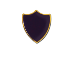 Small Enamelled Shield Badge 19