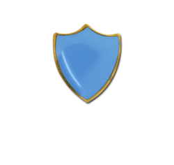 Small Enamelled Shield Badge 23