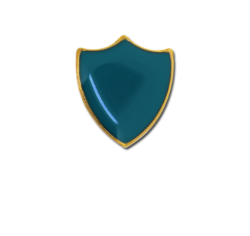 Small Enamelled Shield Badge 28