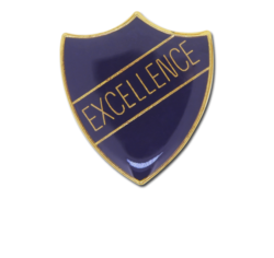 Excellence Enamelled Shield Badge 19