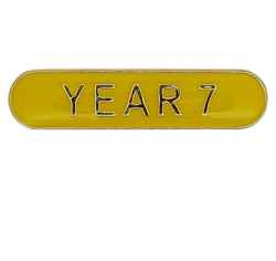 Year 7 Rounded Edge Bar Badge 6