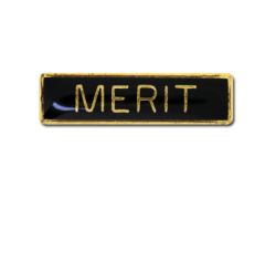 Merit Small Bar Badge 24