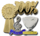 Shaped Badges