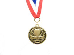 Sports Day Well Done Medal 4