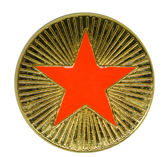 Neon Enamelled Plain Star Round Badge 3