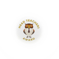 Head Teacher's Award Plastic Button Badge