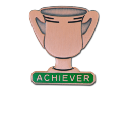 Achiever Trophies - Bronze Trophy Badge 18