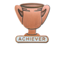 Achiever Trophies - Bronze Trophy Badge 20
