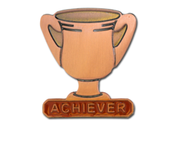 Achiever Trophies - Bronze Trophy Badge 27
