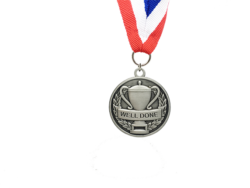 Sports Day Well Done Medal 5