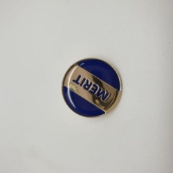 Enamelled Round Merit School Badge 7