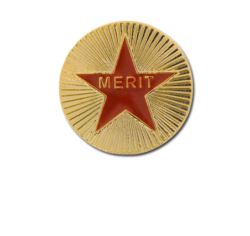 Enamelled Merit Round Badge 27