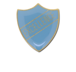 Excellence Enamelled Shield Badge 23