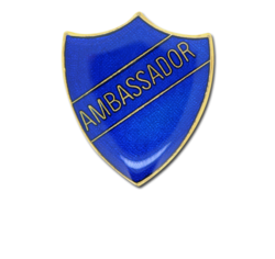 Ambassador Enamelled Shield Badge 17