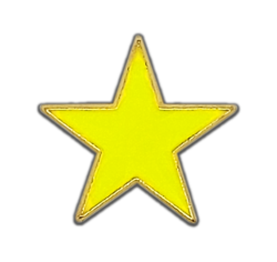 Small Neon Enamelled Star Badge 8