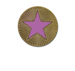 Enamelled Plain Star Round Badge 21