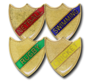 Small Enamelled Stripe Shield Badges