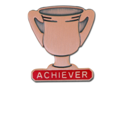 Achiever Trophies - Bronze Trophy Badge 15
