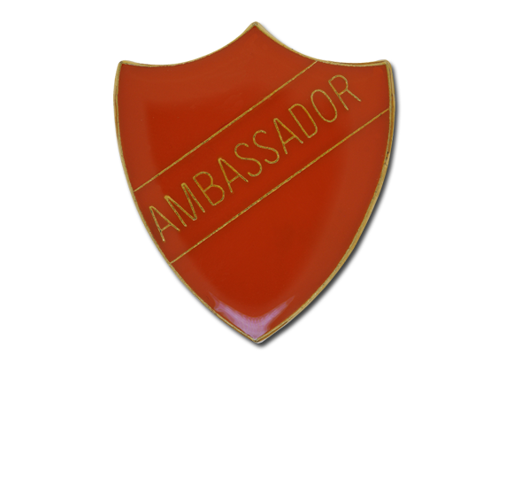Ambassador Enamelled Shield Badge 8