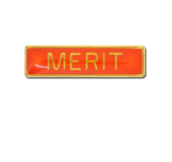 Merit Small Bar Badge 22