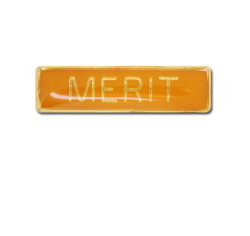 Merit Small Bar Badge 25