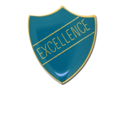 Excellence Enamelled Shield Badge 28