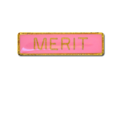 Merit Small Bar Badge 21
