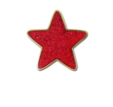 Glitter Star Star Badge