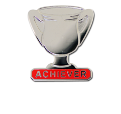 Achiever Trophies - Silver Trophy Badge 15