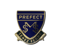 Custom Hard Enamel Pin Badges 13