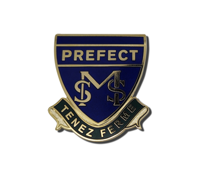 Custom Hard Enamel Pin Badges 5