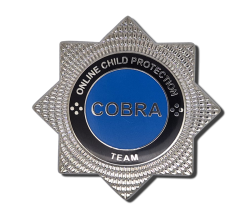 Custom Hard Enamel Pin Badges 13