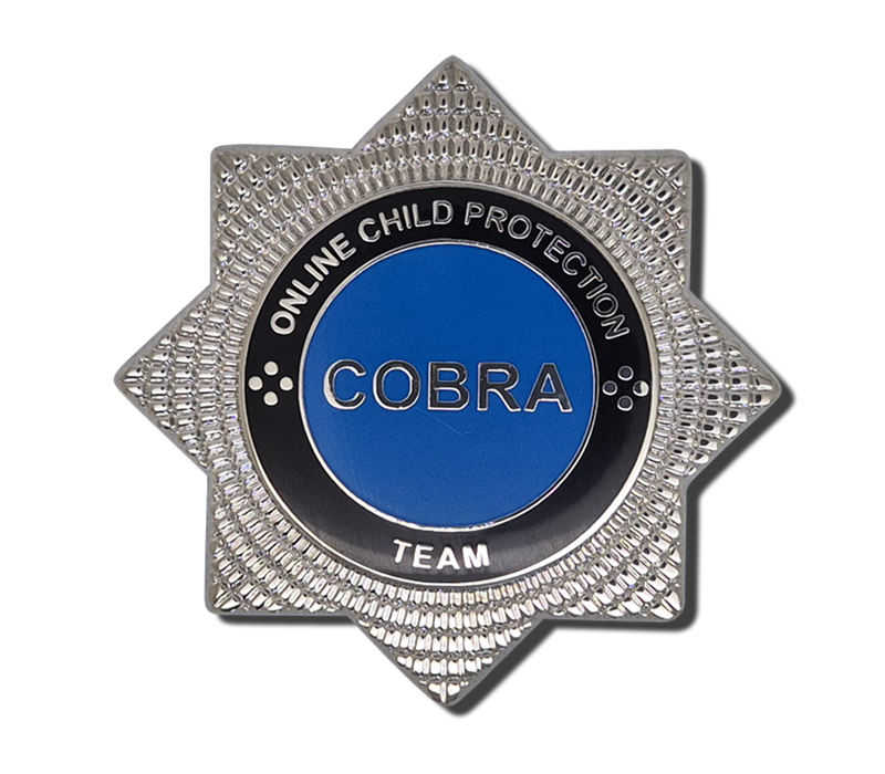 Custom Hard Enamel Pin Badges 7
